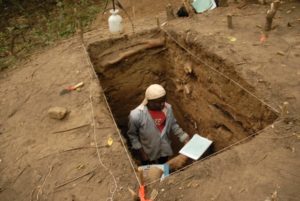 Salvage archaeology photo 5