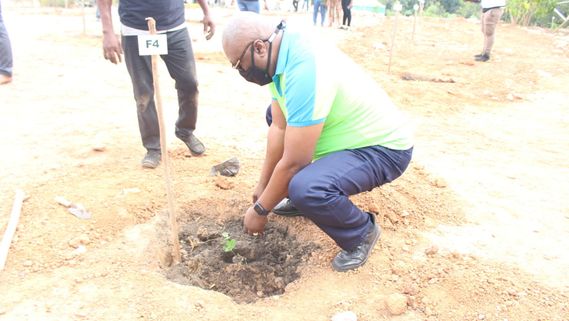BPA JOINS GREEN GHANA PROJECT LAUNCHED BY THE PRESIDENT OF GHANA TO PLANT 5 MILLION TREES IN A DAY