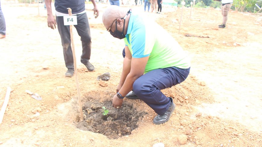 BPA JOINS GREEN GHANA PROJECT LAUNCHED BY THE PRESIDENT OF GHANA TO PLANT 5 MILLION TREES IN A DAY