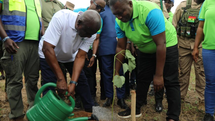 Bui Power Authority Participates in the “Tree For Life” Initiative
